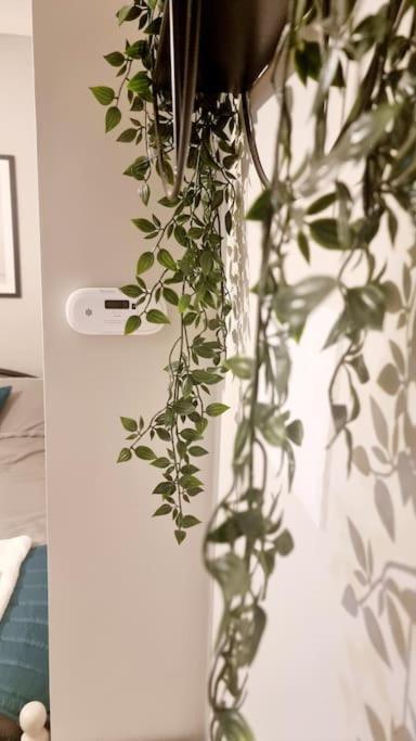 Stylish Apartment, Self Check-In, Ideal 4 Contractors, 25Mins To Gatwick Airport Thornton Heath Εξωτερικό φωτογραφία